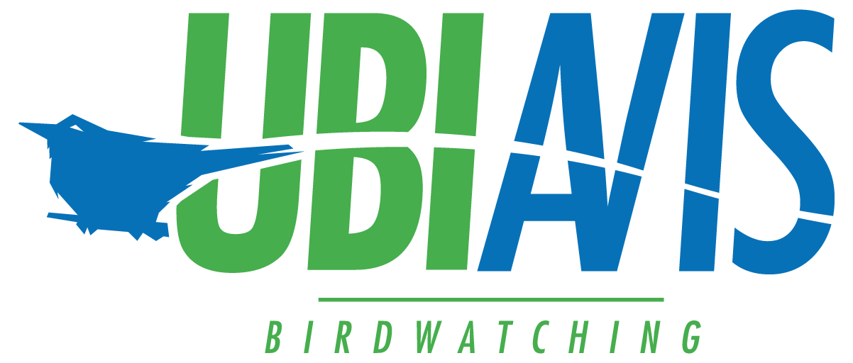Ubiavis Logo